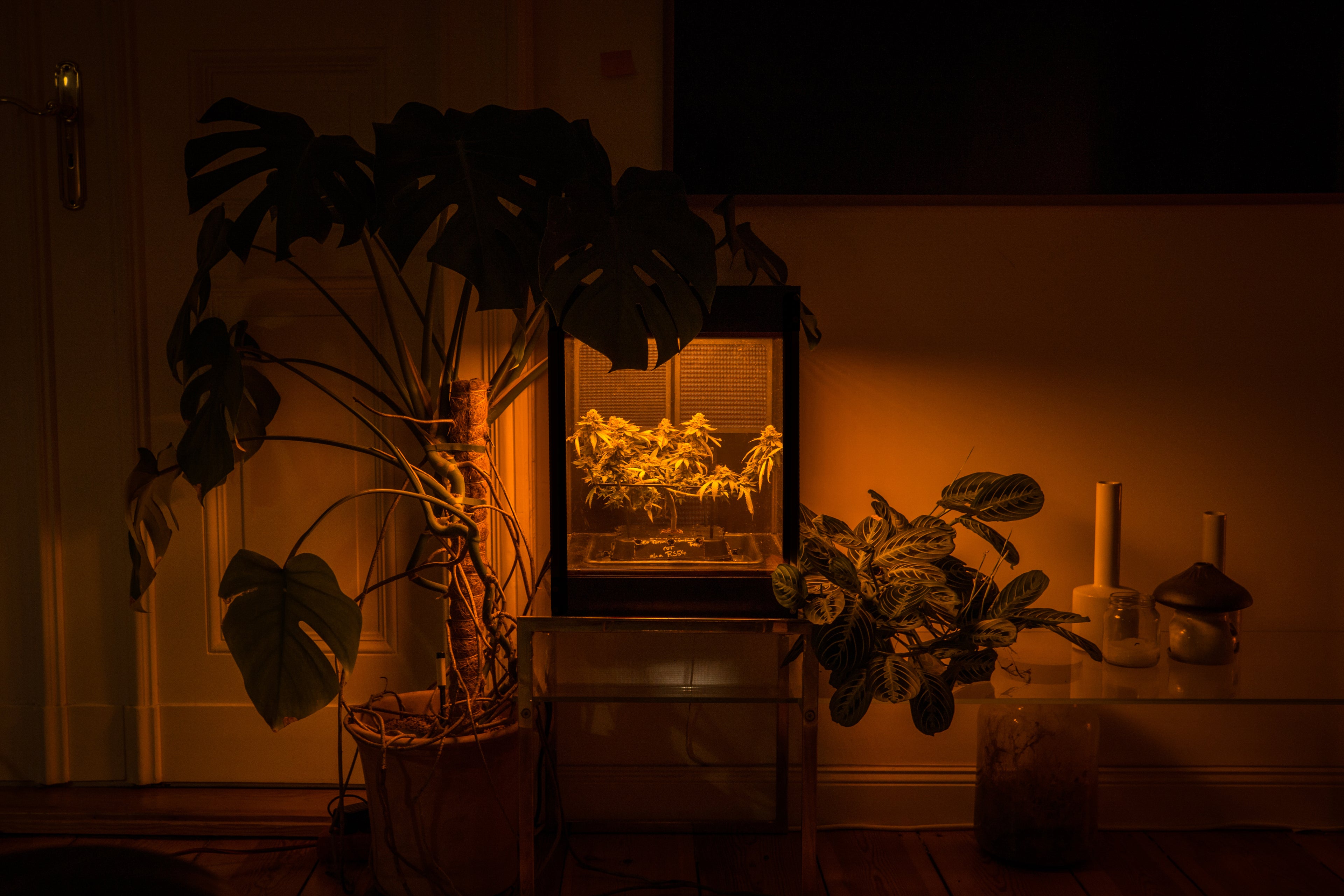 Glowbox