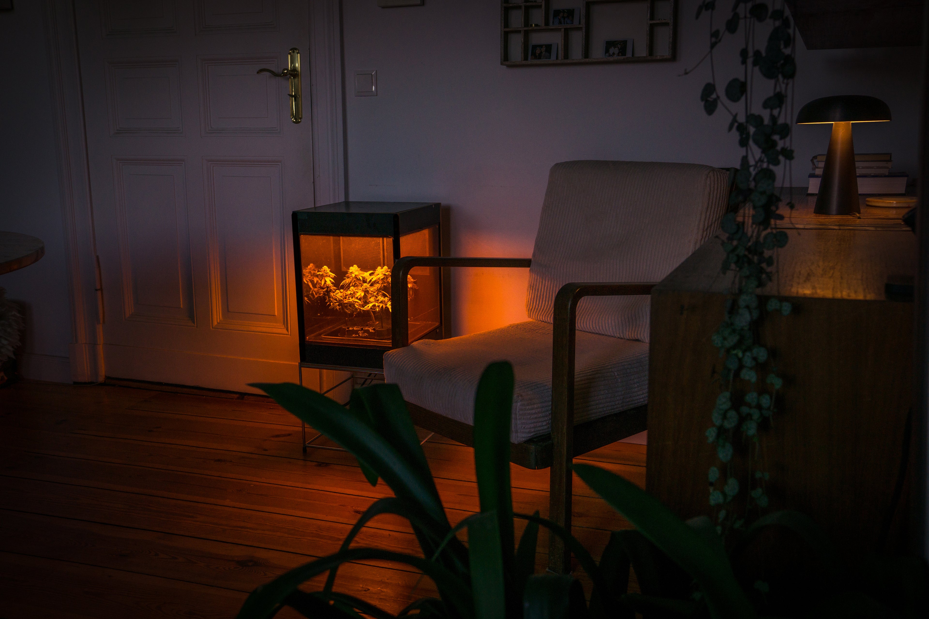 Glowbox