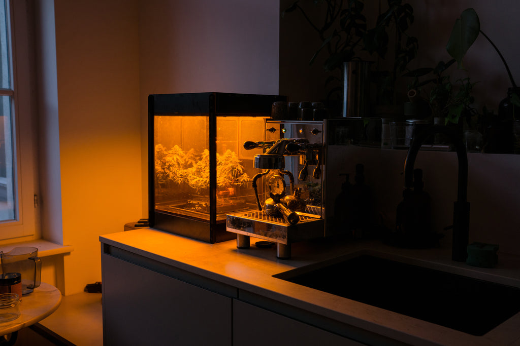 Glowbox