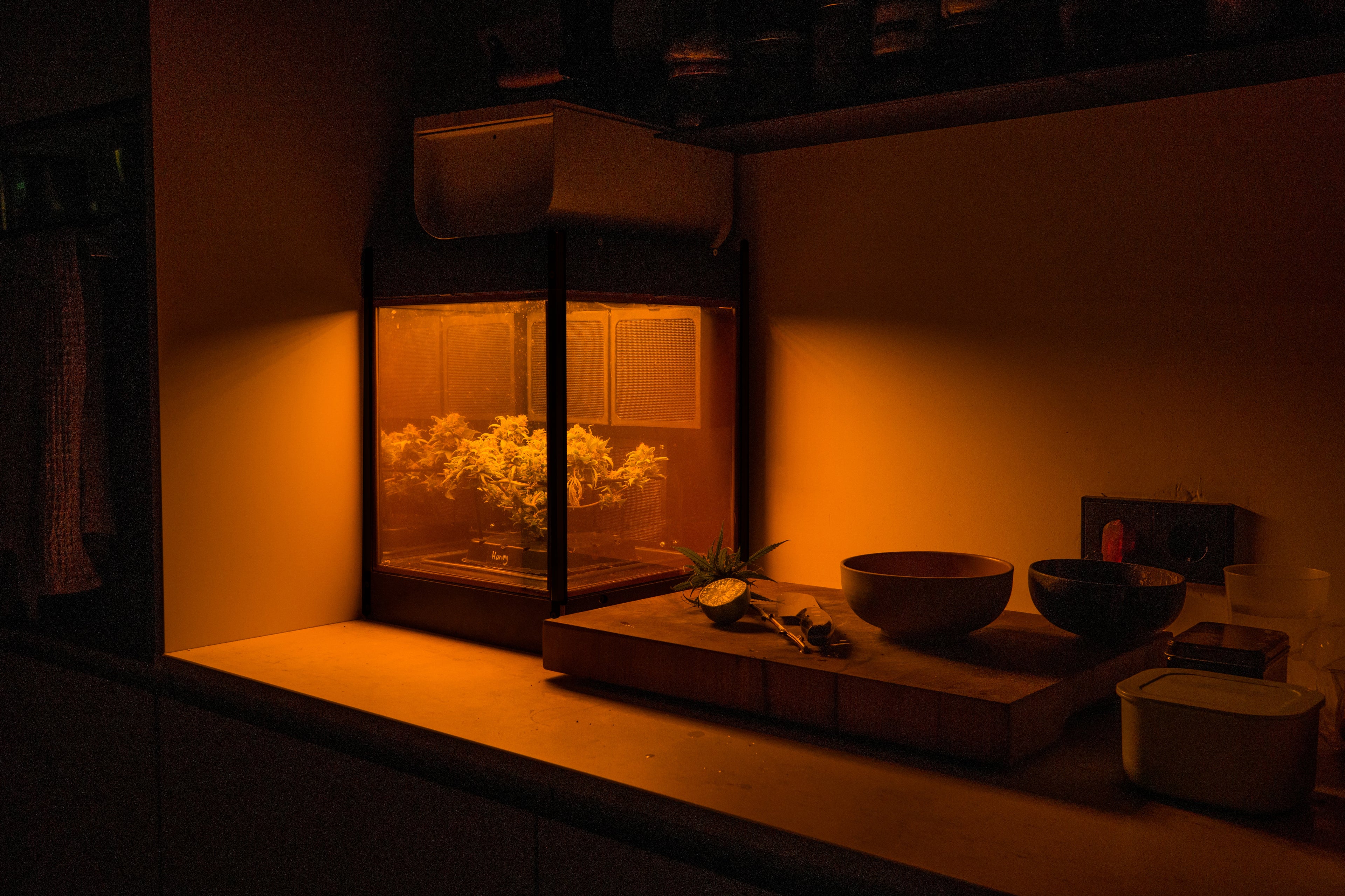 Glowbox